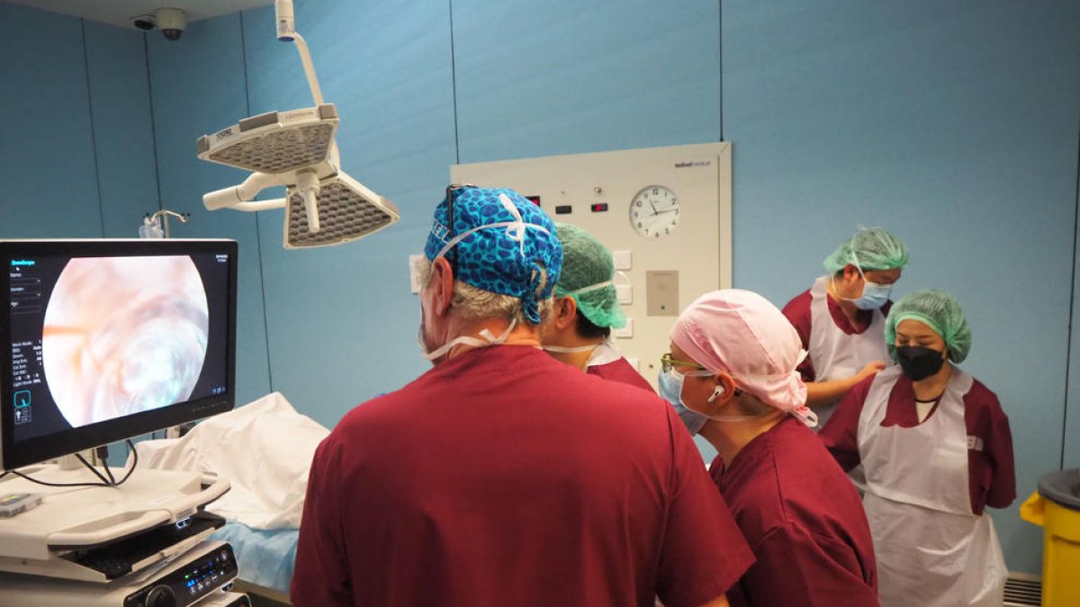 Profesionales de digestología en una de las sesiones prácticas ayer por la mañana en el CREBA.  