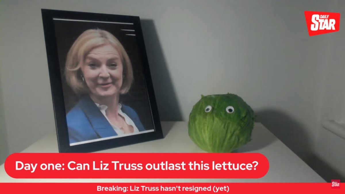 Imagen del directo de The Daily Star con Truss y una lechuga.