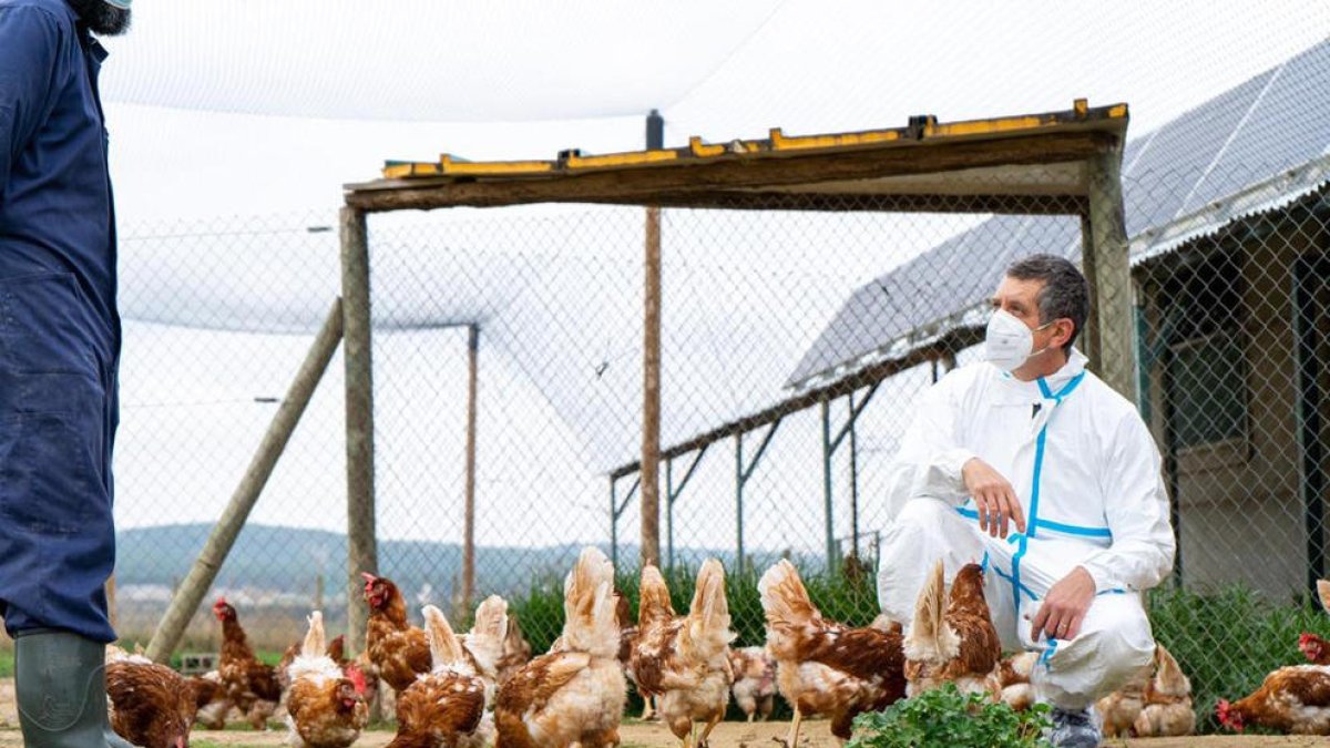 Un veterinario inspecciona la situación sanitaria de una granja. 