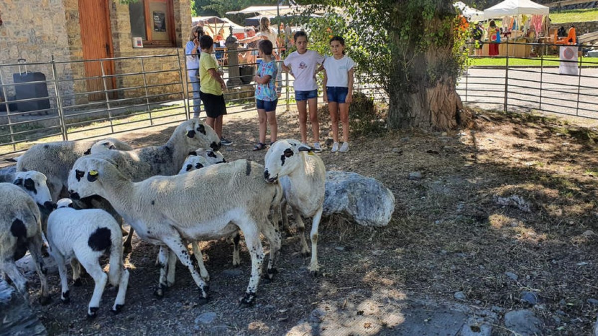 Un grupo de niños mirando el ganado expuesto en el recinto ferial de Llavorsí.