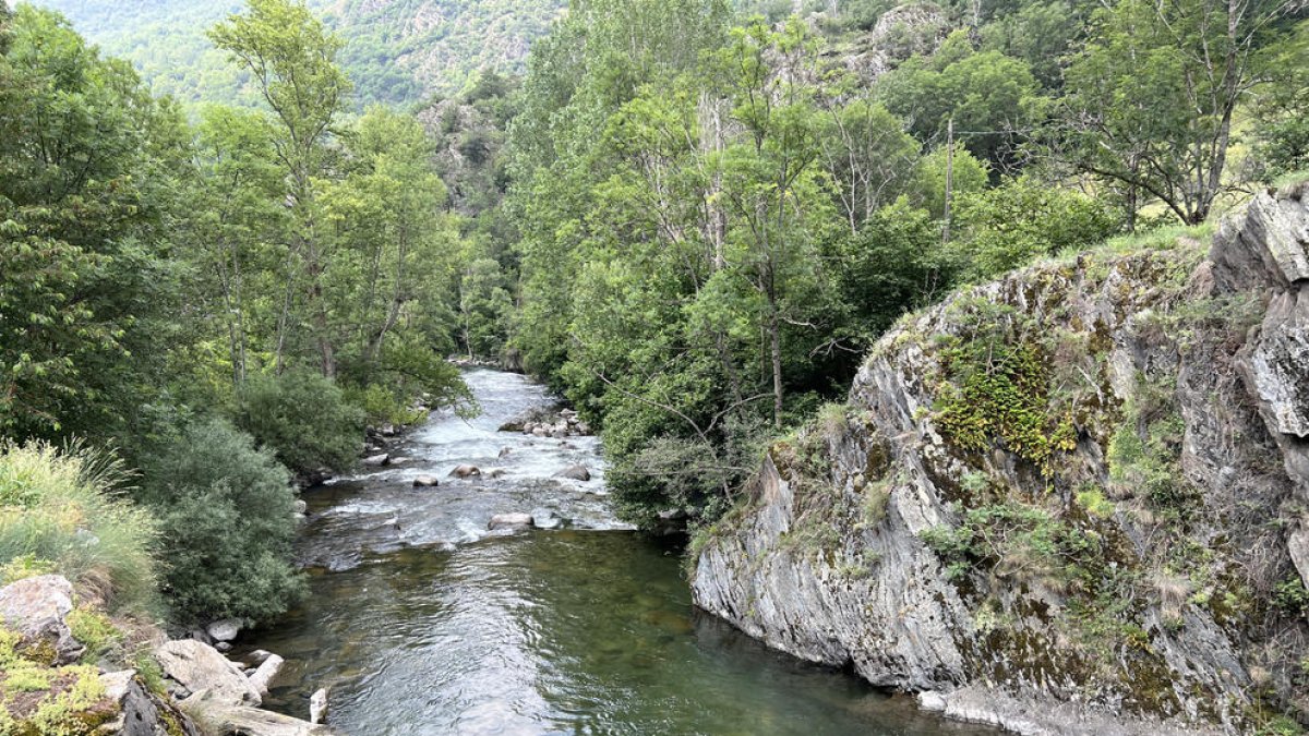 Un tram del riu Noguera Pallaresa al seu pas per Alt Àneu