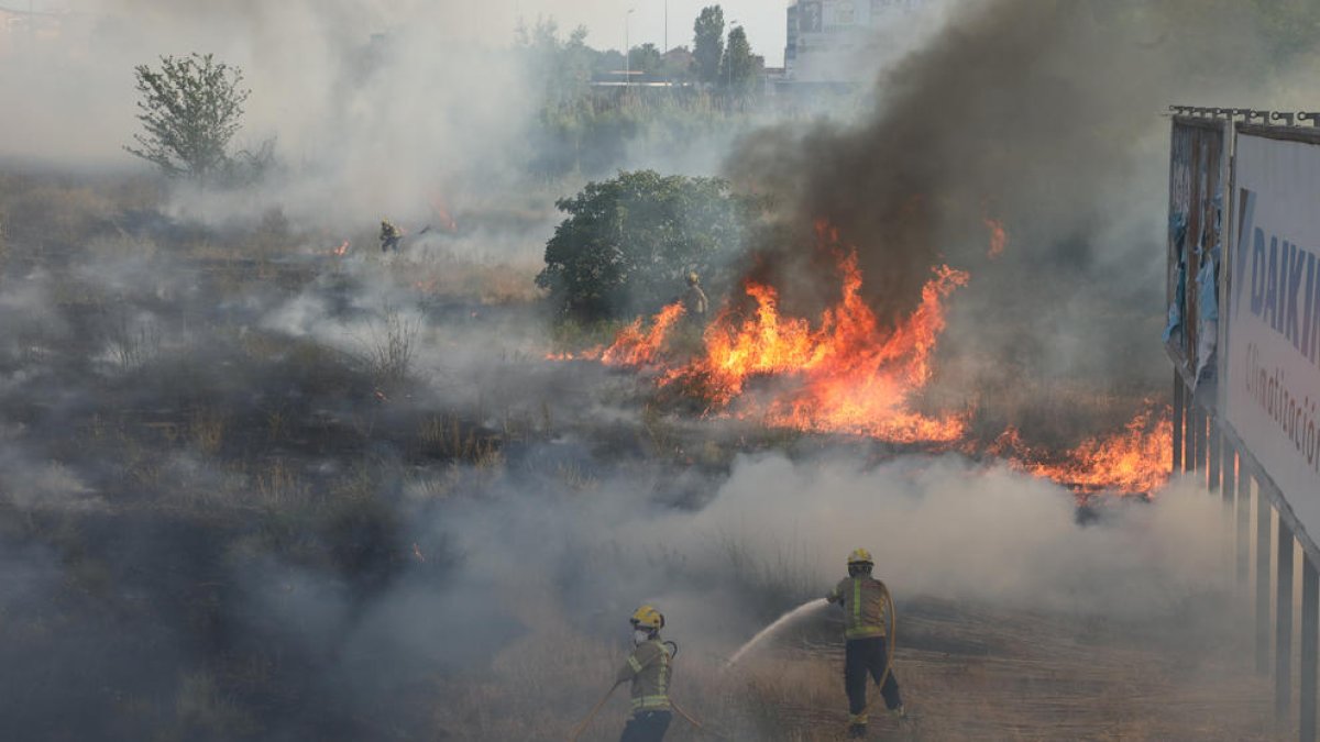 Efectivos de los Bomberos de la Generalitat trabajaron ayer en la extinción del fuego que calcinó matojos y cañas junto a la LL-11. 