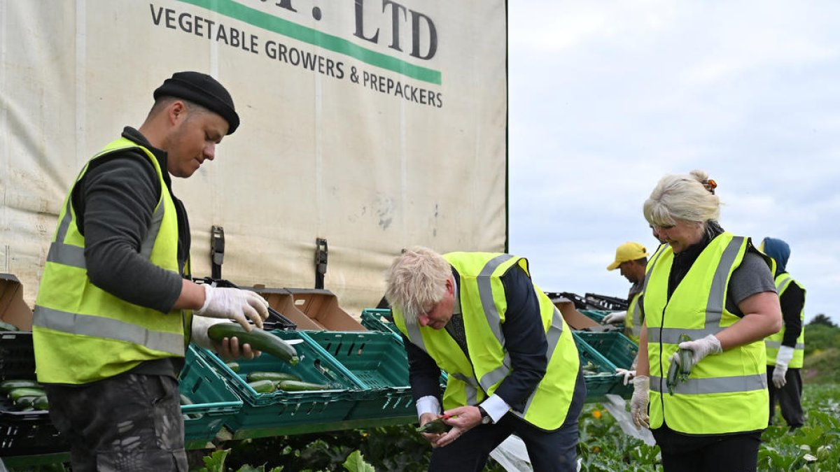 Johnson visitó ayer a agricultores británicos en Cornualles.