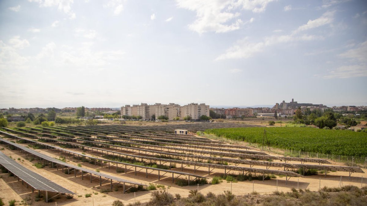 El parc solar de la partida de Balàfia ja és una realitat