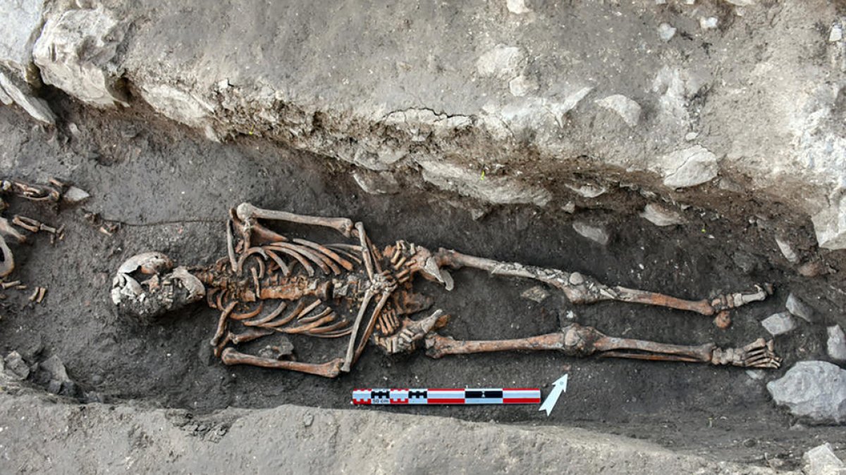 L’esquelet sencer descobert en l’última excavació.