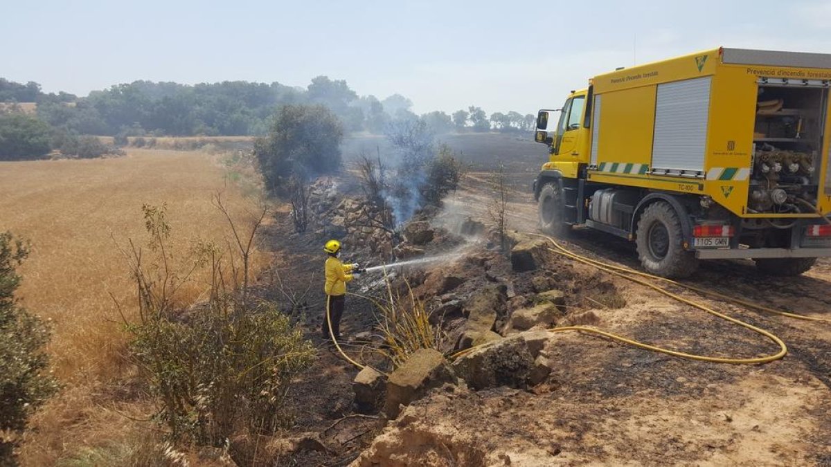 Cedida a l'ACN pel Departament d'Acció Climàtica