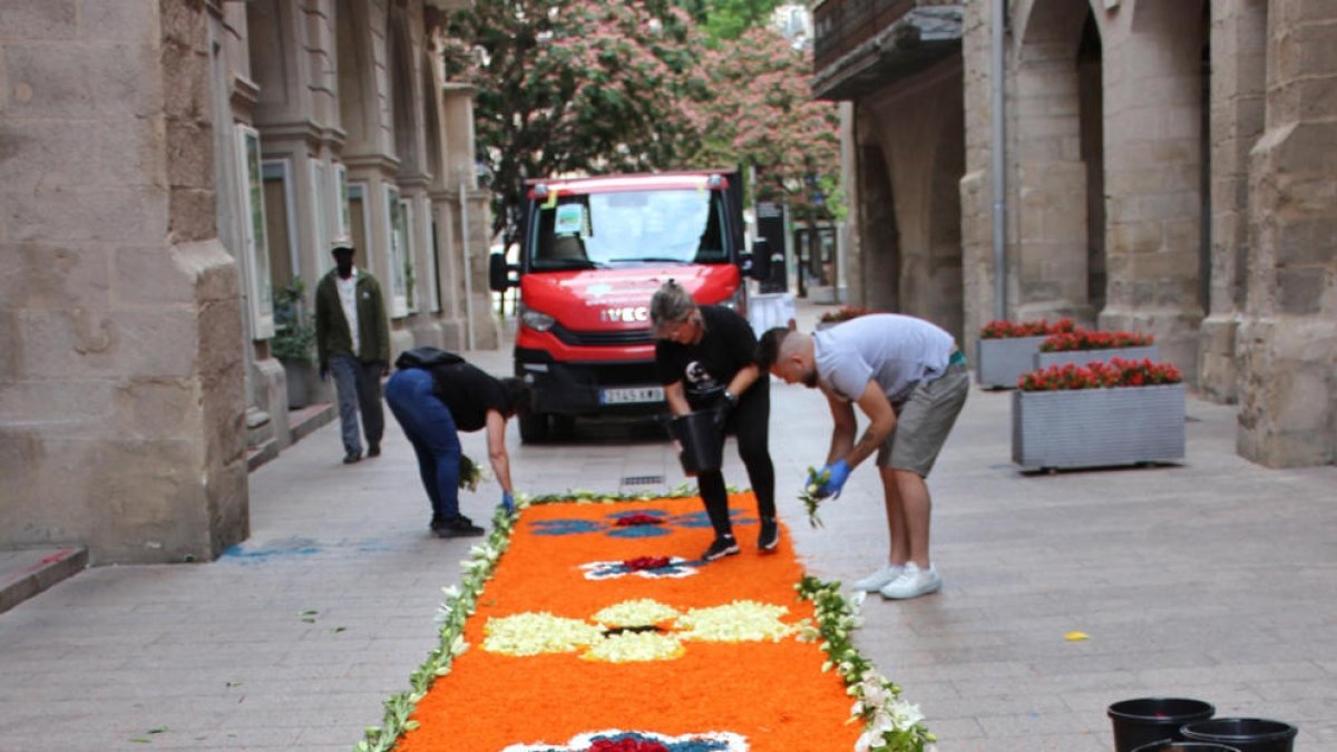 Una de les 17 catifes que van omplir de color i flors ahir l’Eix Comercial de Lleida.