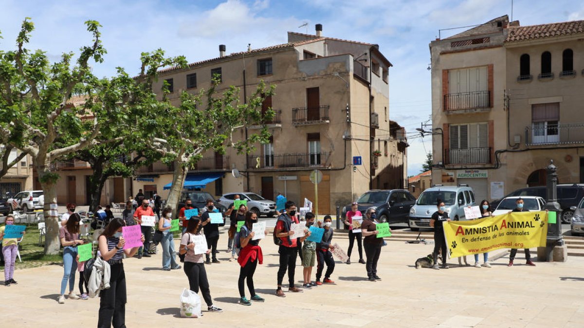 Imatge d’arxiu d’una protesta contra el maltractament animal l’any passat a la Granadella.