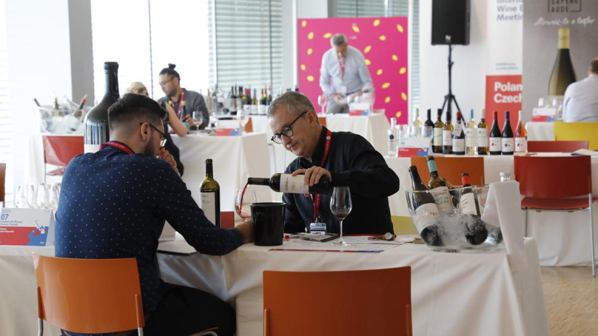 Encuentro de bodegas catalanas y empresas polacas y checas en Lleida