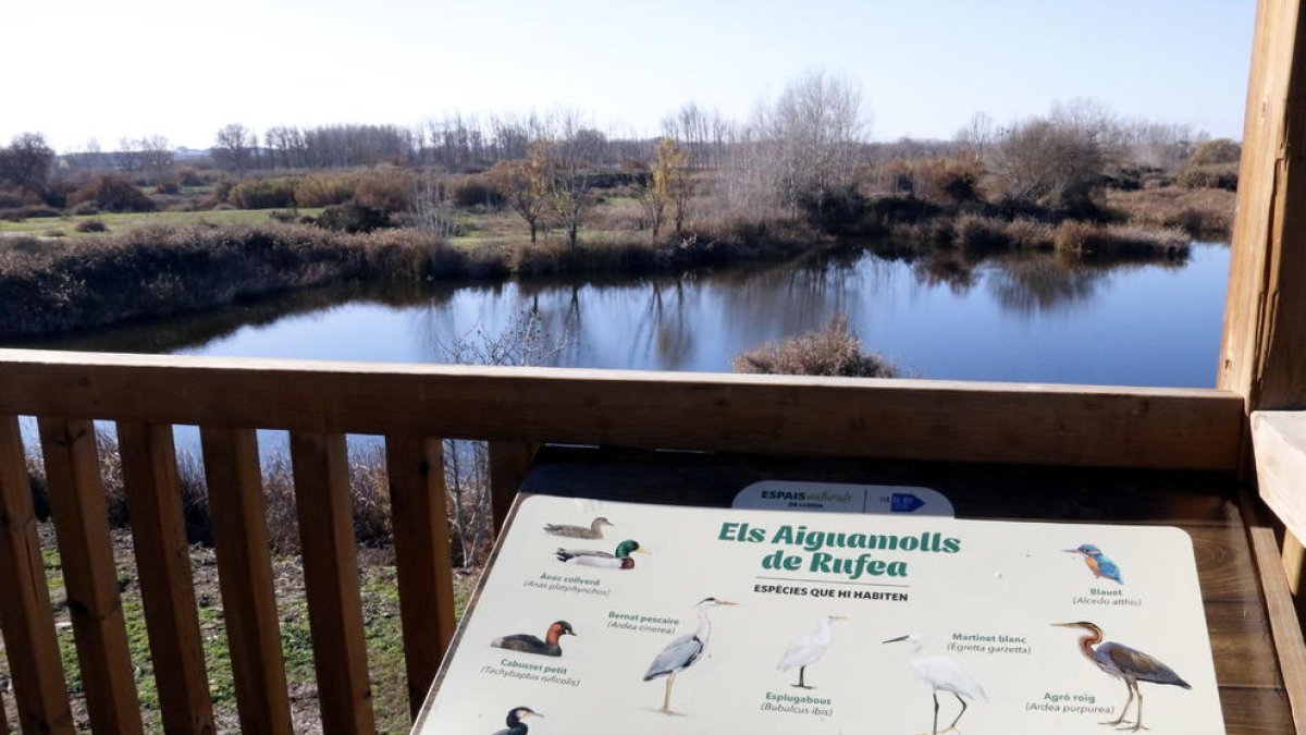 Invierten 100.000 euros en los pantanales de Rufea para conservar la flora y la fauna y mejorar el acceso de los visitantes