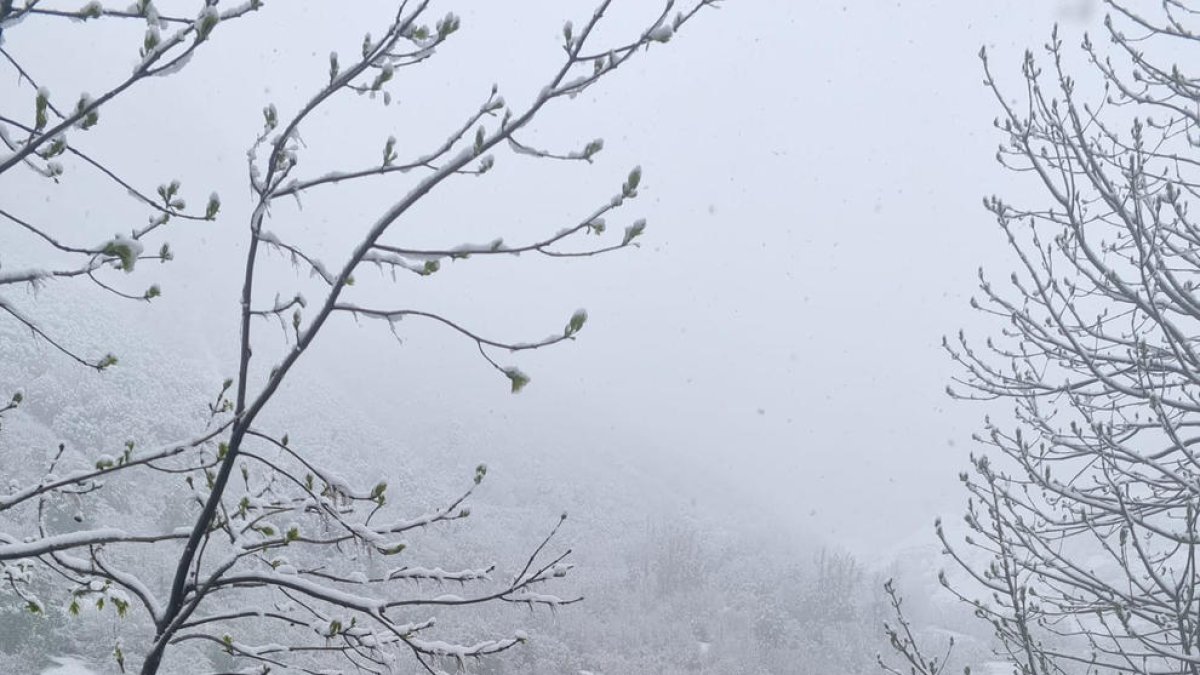 En Bagergue se acumularon hasta 10 centímetros de nieve.