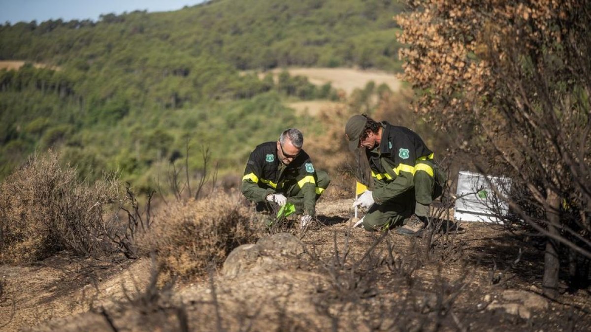 Una de les tasques dels agents rurals és prevenir els incendis i investigar-ne les causes.