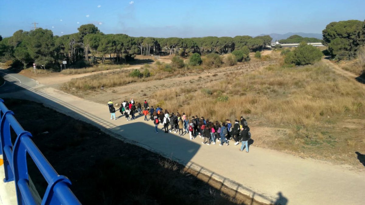 Agentes de los Mossos trasladan a pie a 42 escolares por un vial, el autobús de los cuales se ha averiado en la AP-7