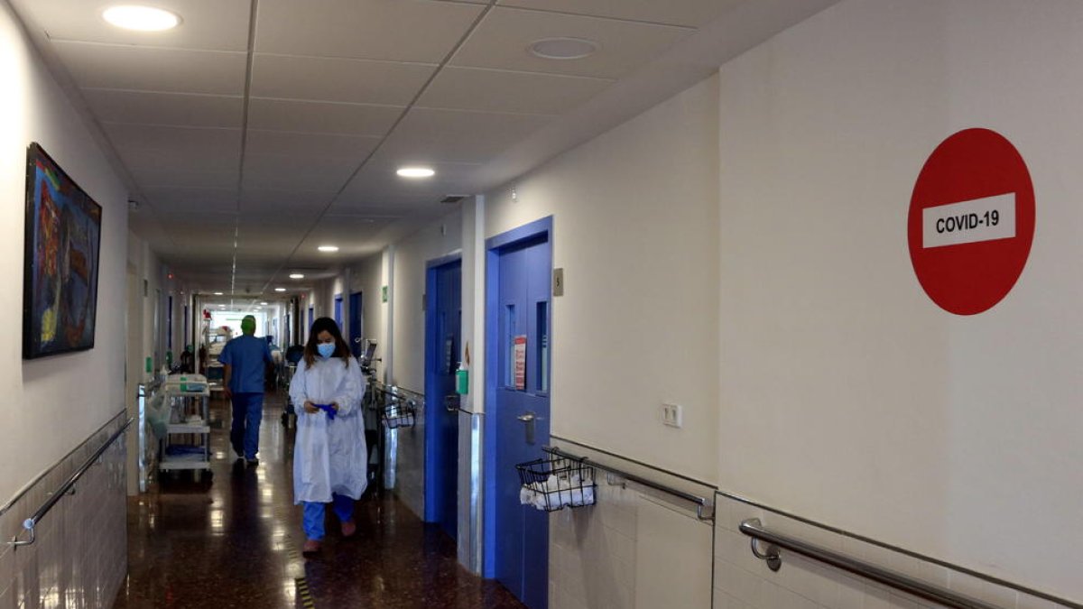 Una doctora de l'Hospital del Mar es dirigeix a visitar un pacient ingressat a planta per covid-19, en la sisena onada de la pandèmia. 1 de desembre del 2021.