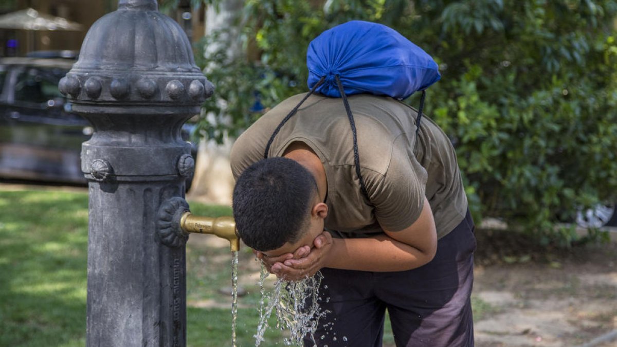 Un jove refrescant-se ahir en una font a Lleida.