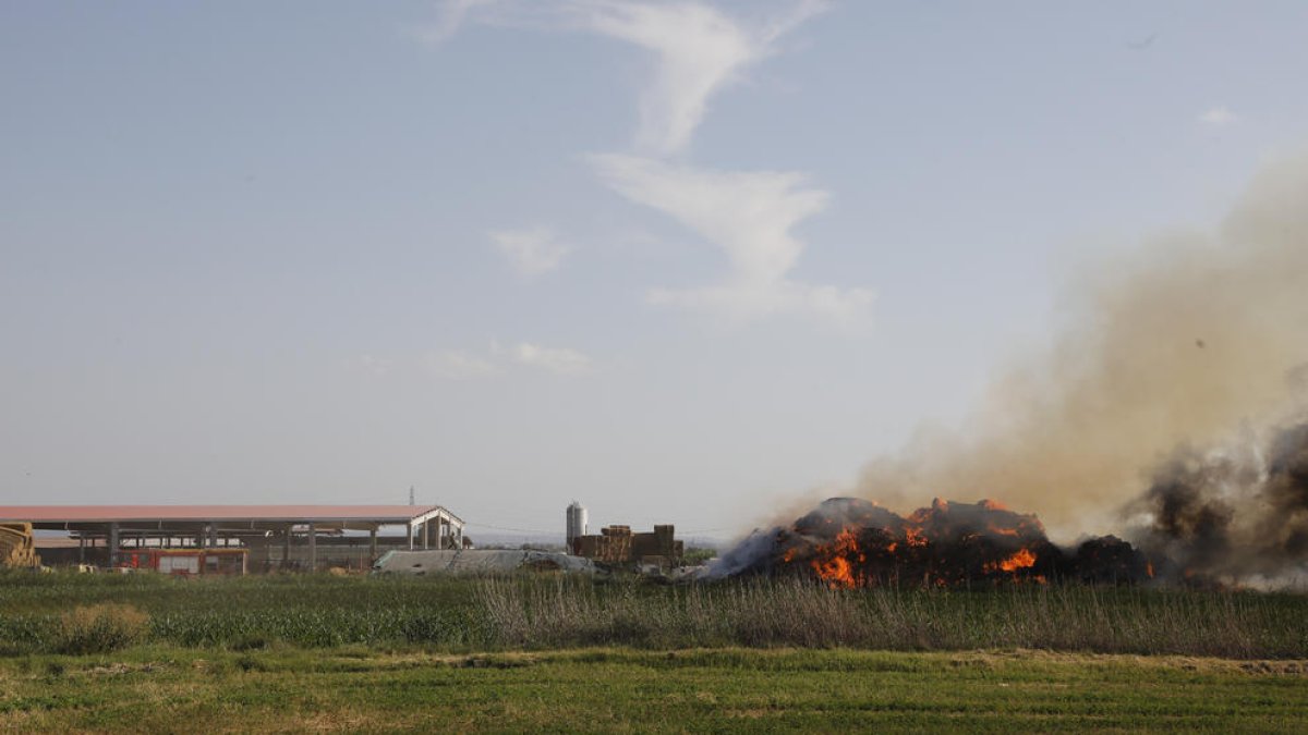 Sofocan un aparatoso incendio en un pajar de una explotación ganadera en Bellvís