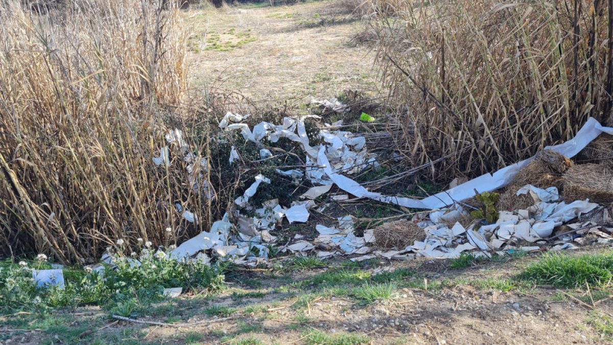 Un abocament incontrolat de residus a l’Horta l’any passat.