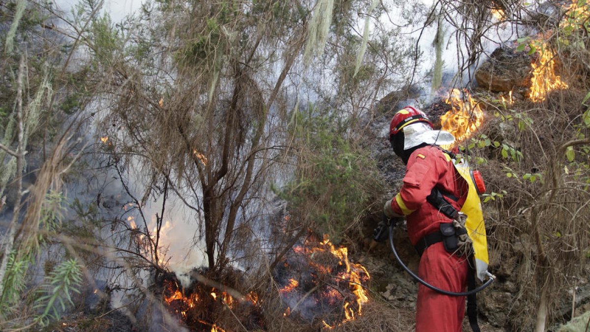 Un bombero apagando llamas en el incendio de Tenerife, que ya ocupa una superficie de más de 12.800 hectáreas.