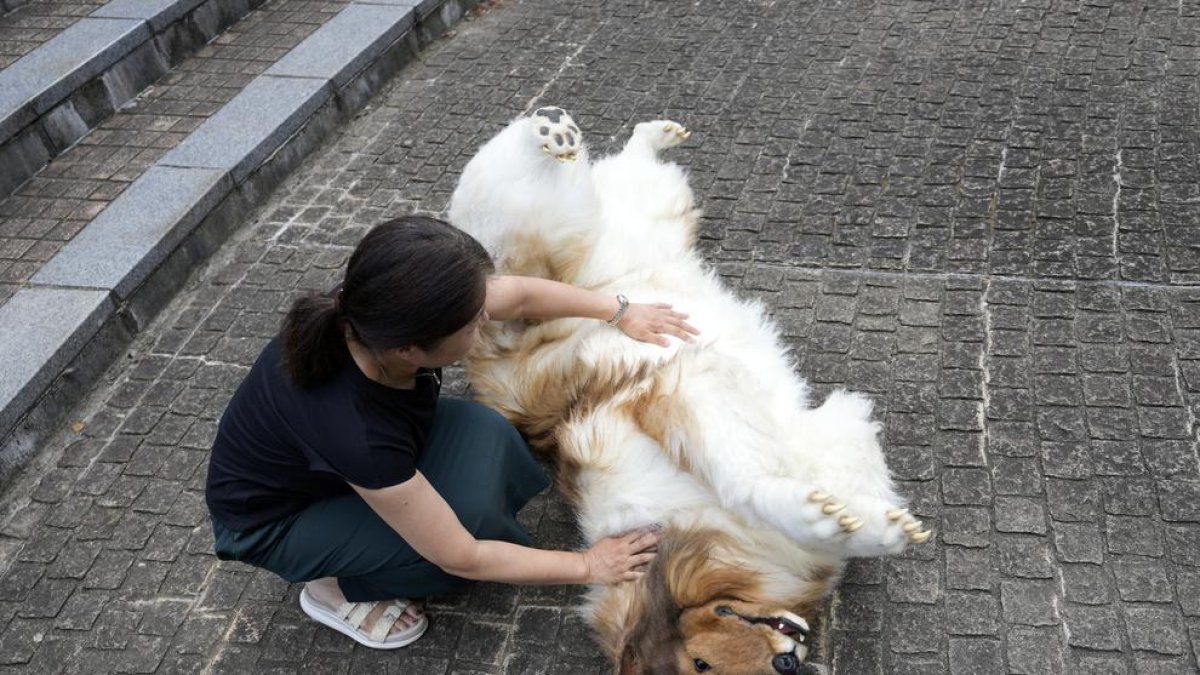 Un japonès es gasta 12.000 euros per 'convertir-se' en gos