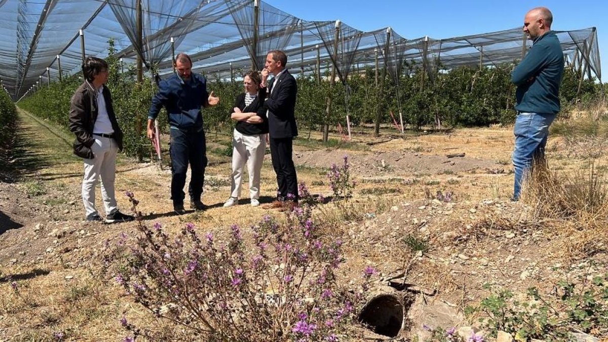 Visita del subdelegat del govern espanyol a Lleida, José Crespín, i de representants d'Afrucat a una finca de Miralcamp (Pla d'Urgell) on s'està fent una actuació per poder tornar a regar a manta.