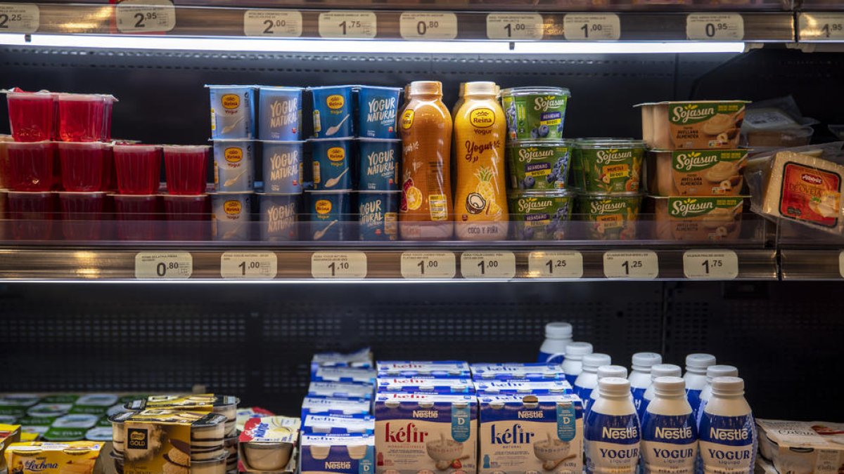 Podemos propone bonificar un 14 % el precio de la cesta básica de alimentos