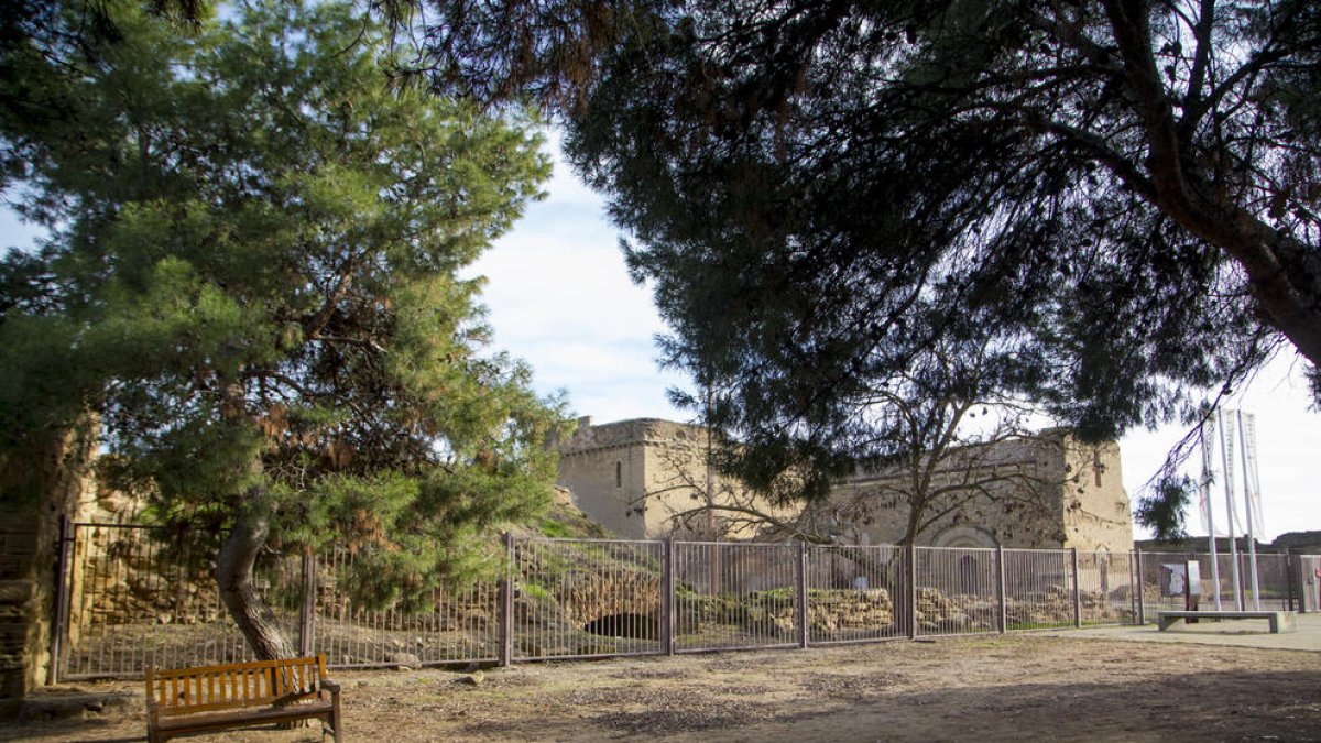 La zona en la que habrá un parque de calistenia, junto al castillo. 