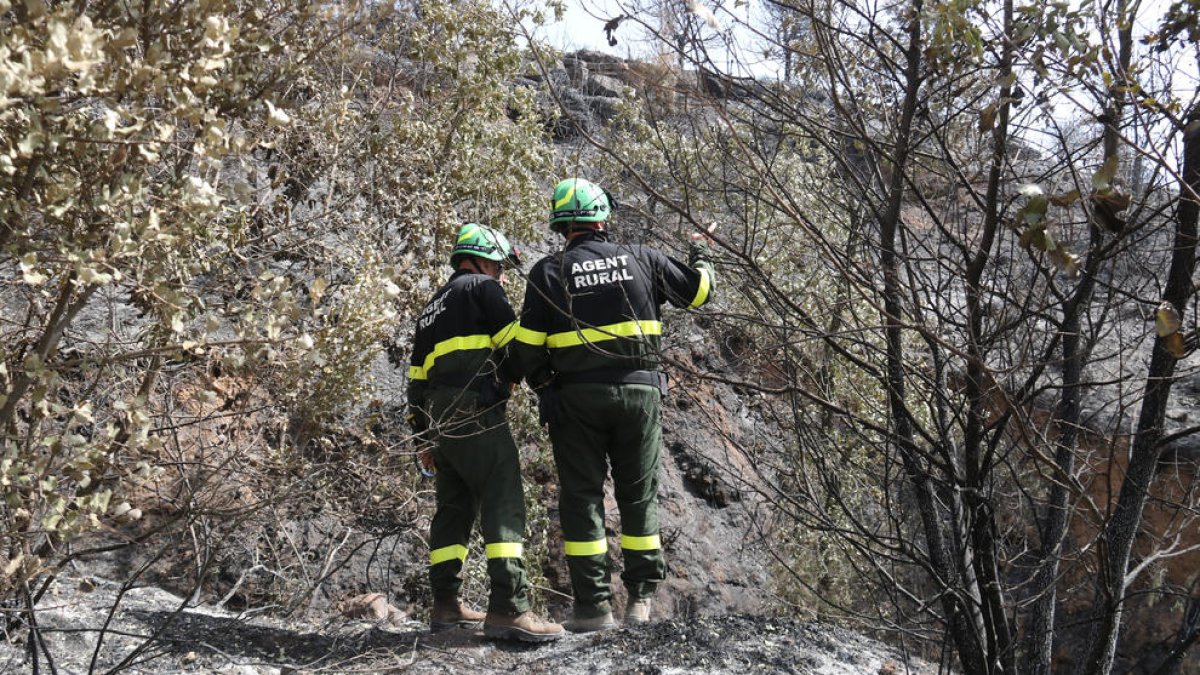 Investigadors dels Agents Rurals a la zona on va començar l'incendi de Baldomar