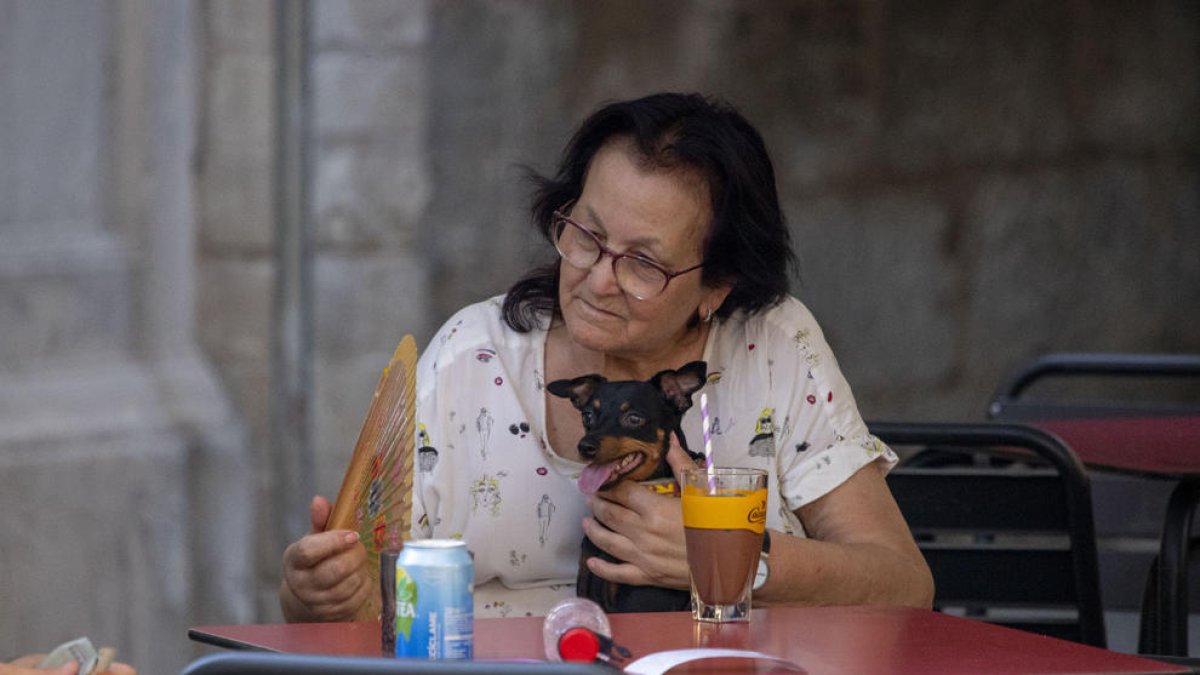 Una dona es venta a ella i a la seua mascota en una terrassa de Lleida ciutat