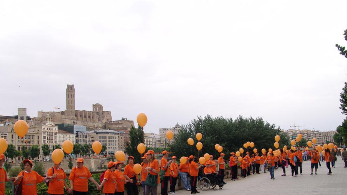 Imatges d’arxiu de diferents activitats de les entitats lleidatanes que formen part de la Federació ALLEM.