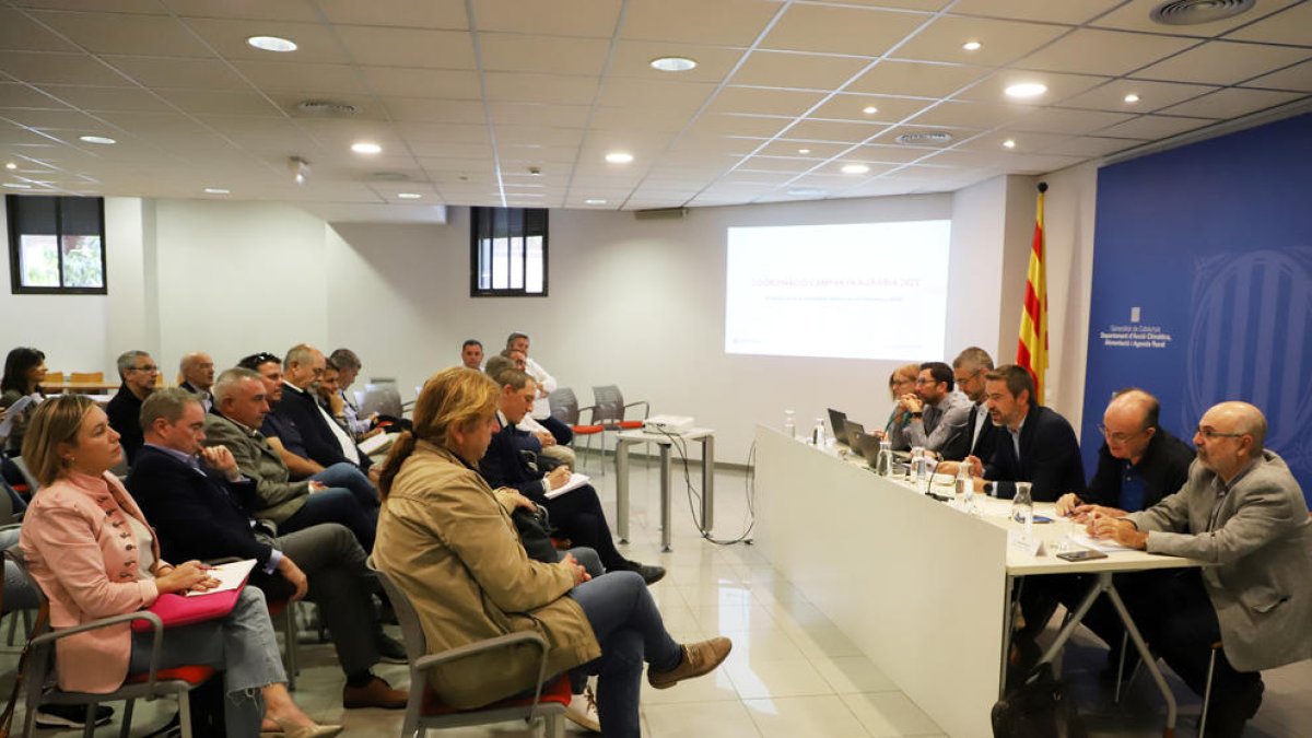 Reunión de la Comisión de Coordinación de Campaña Agraria celebrada en la Delegación del Govern en Lleida.