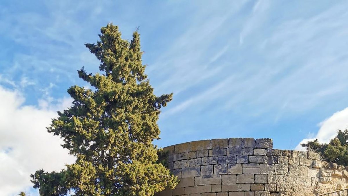 El castell d'Arbeca forma part de la ruta de castells de les Garrigues