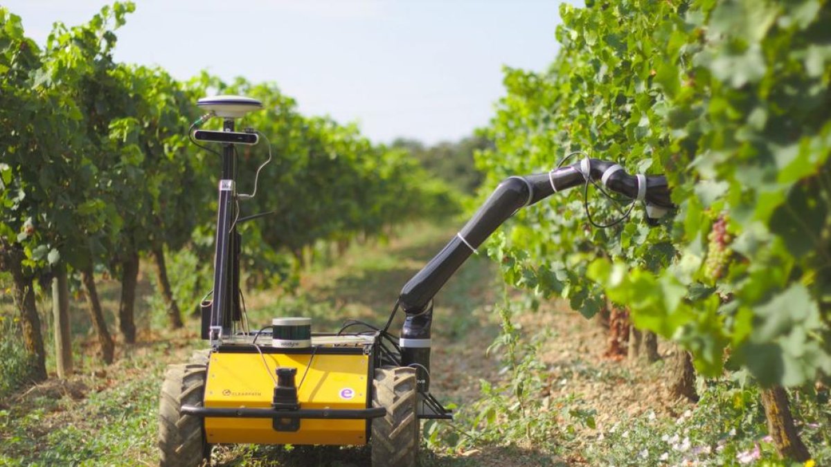 Jornada sobre infraestructures agrícoles