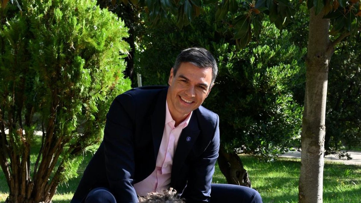 La foto que ha pujat Pedro Sánchez a Twitter.