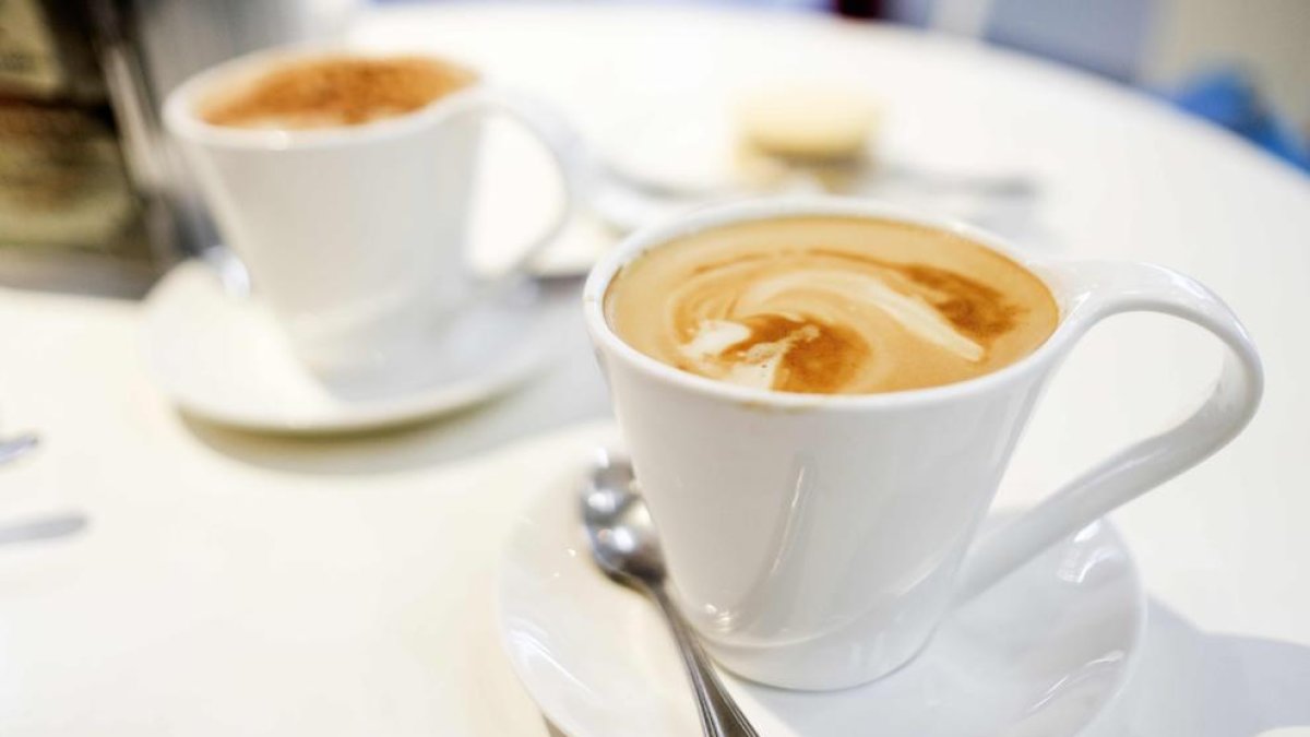 Descubren que una sustancia presente en el café reduce el envejecimiento muscular