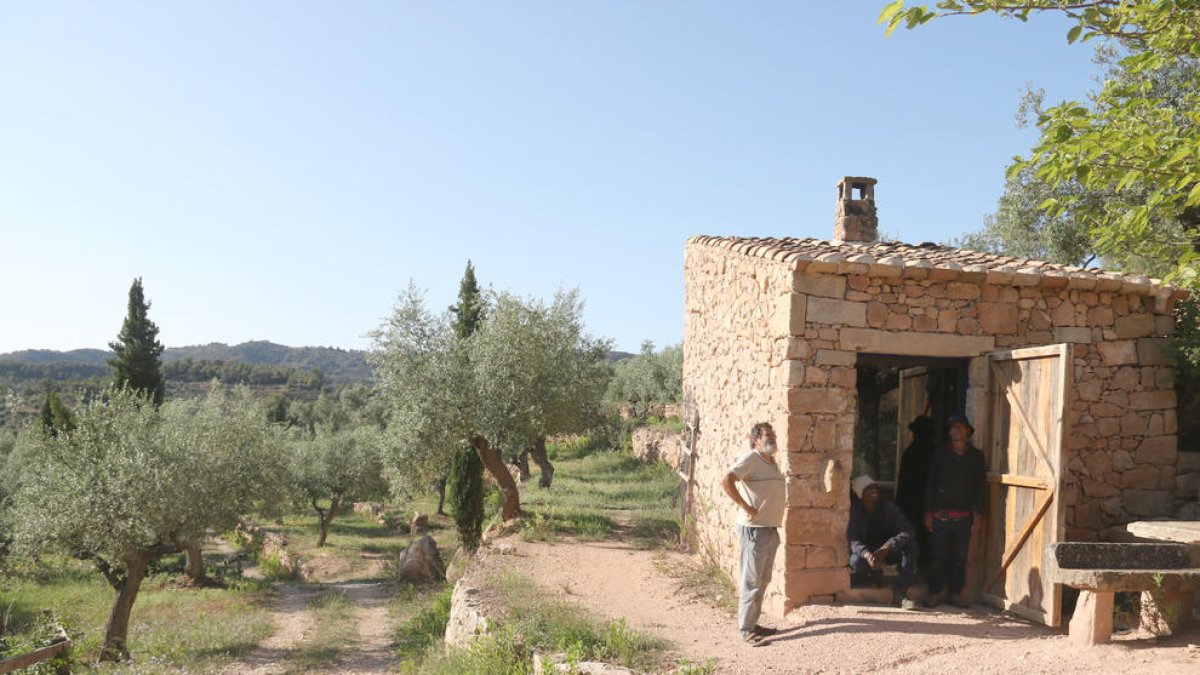 Entidades ecologistas promueven un proyecto de producción ecológica en los olivares de las Garrigues y las Tierras del Ebro