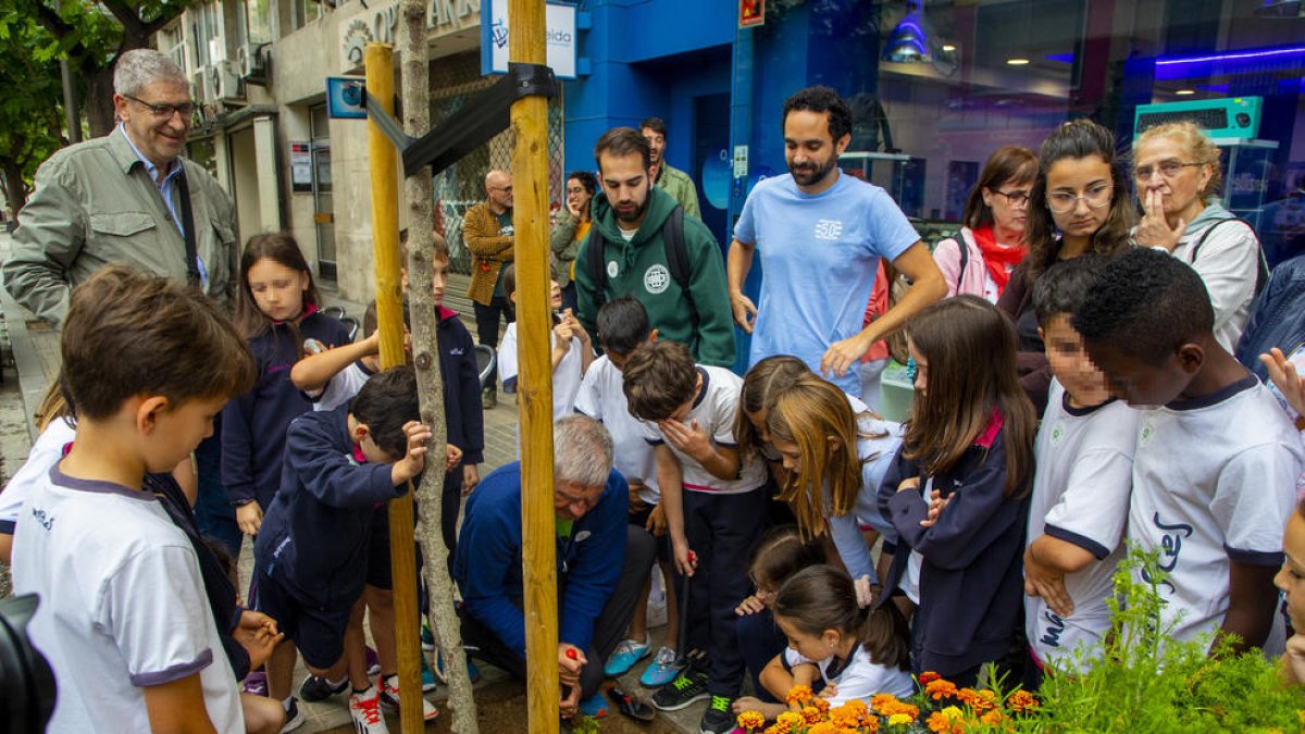 Membres d’EscoceLLs Lleida van explicar als alumnes de Maristes com enjardinar-los.