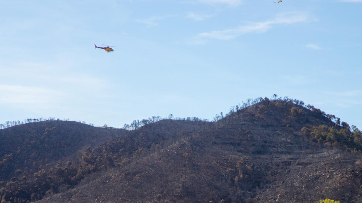 Un foc va calcinar a l’abril 400 hectàrees a la Franja i el Baix Segre.