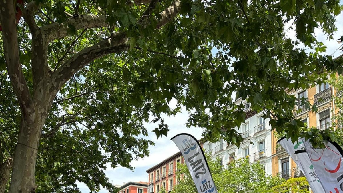 Imatge de la manifestació de funcionaris de Justícia que va tenir lloc ahir a Madrid.