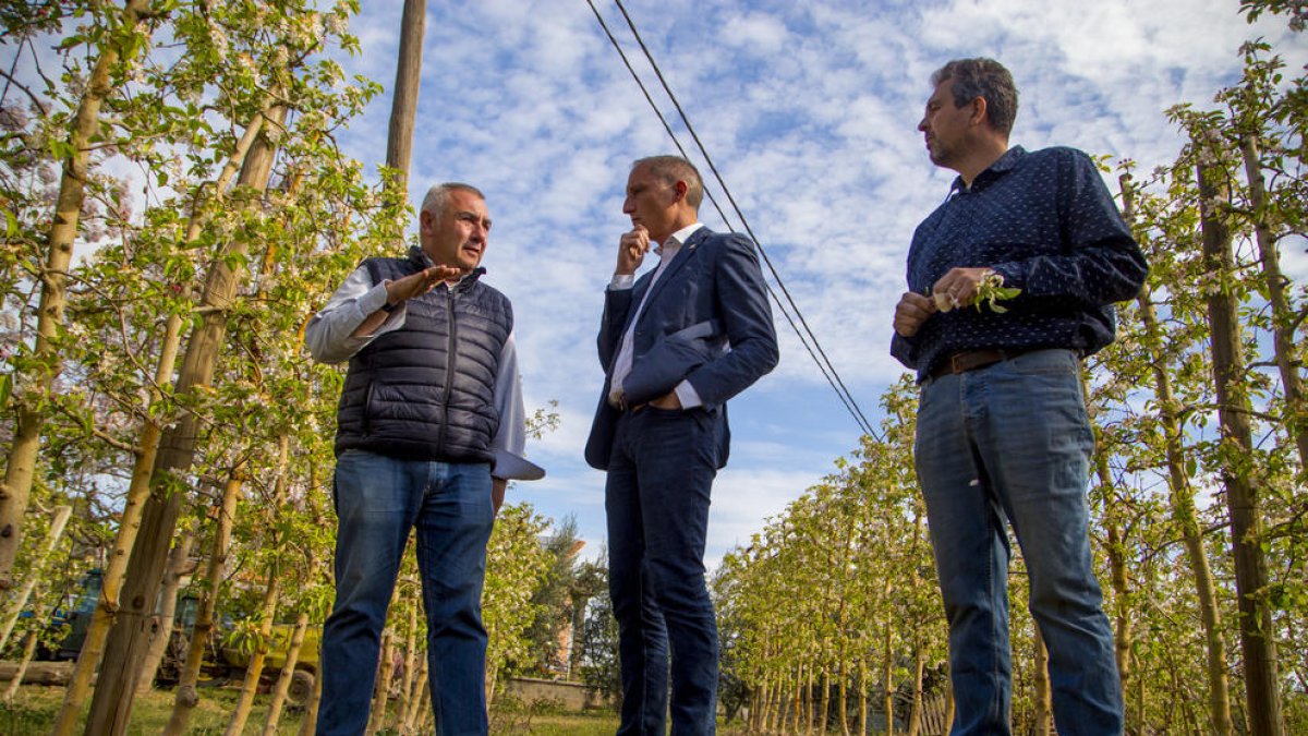 Momento de la visita a Fruites Blanch en la partida de Grenyana.