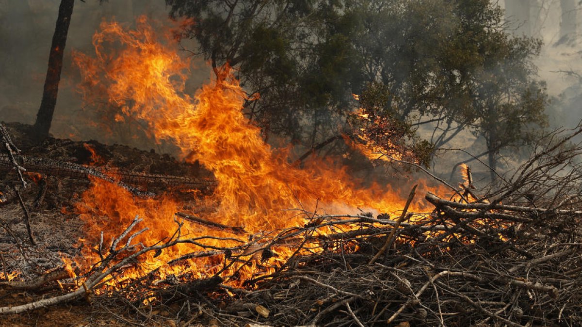 La Fiscalia investiga l'incendi de Castelló que va cremar 4.700 ha