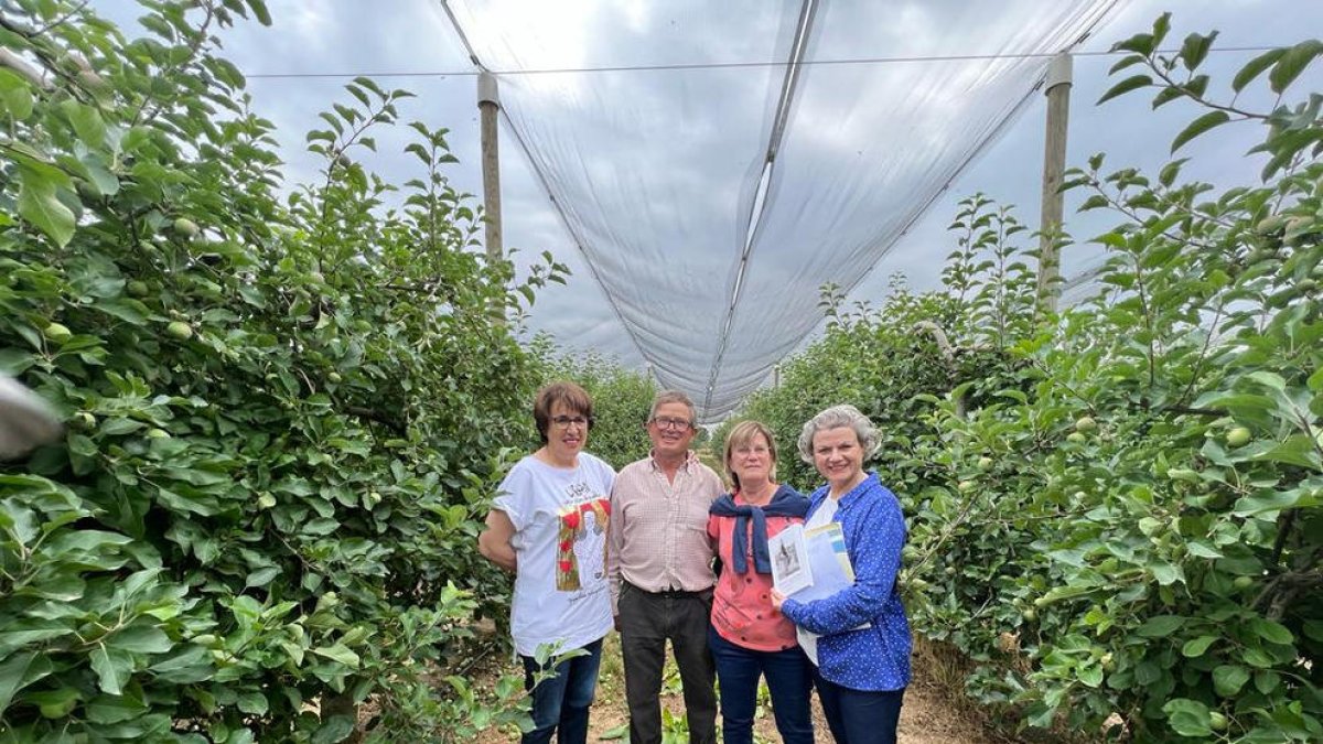 Mujeres de l'Horta, en 'DiS' 