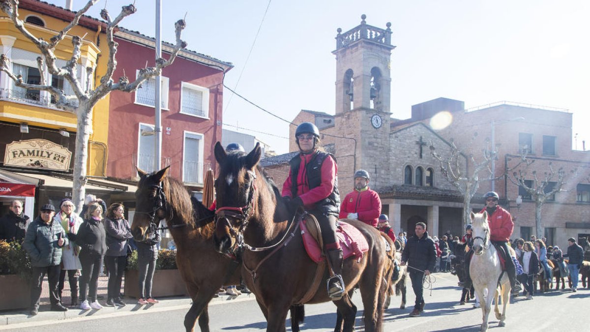 Una decena de caballos y ponis, en el desfile. 