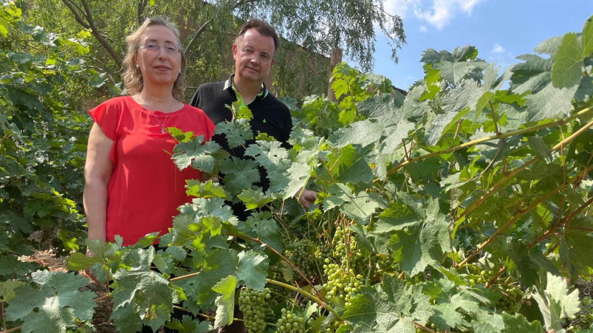 La Escola d'Hoteleria de Lleida llega a un acuerdo con Codorniu y Lagravera