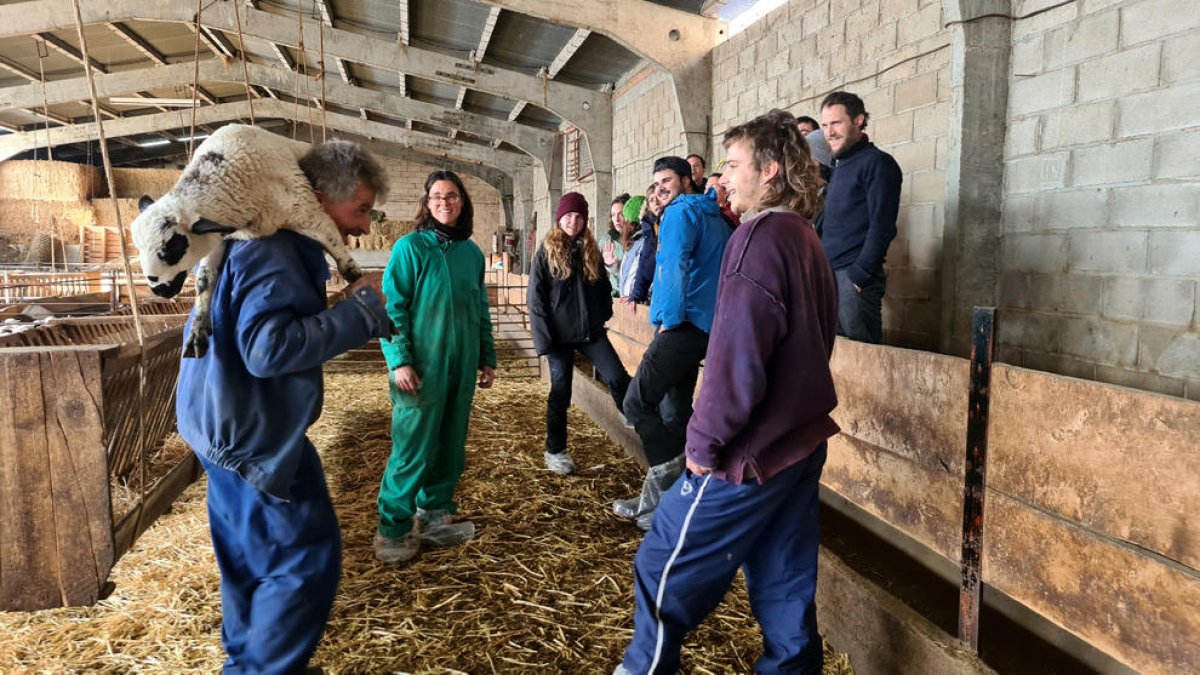 Una classe de l'Escola de Pastors en una granja d'ovelles.