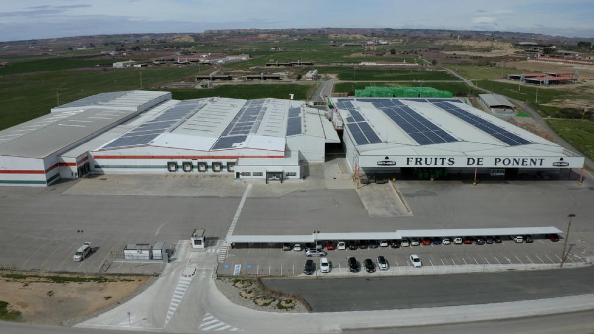 La ‘hidrolinera’ de Alcarràs requería ampliar la instalación de paneles solares de Fruits de Ponent.