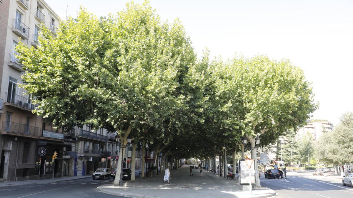 El projecte ‘Compra a Lleida’ pretén millorar urbanísticament la rambla Ferran.