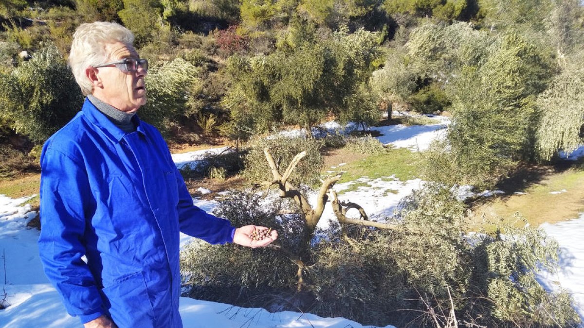 Miquel Prunera, el gener del 2021 a la finca de Bovera afectada per la nevada.