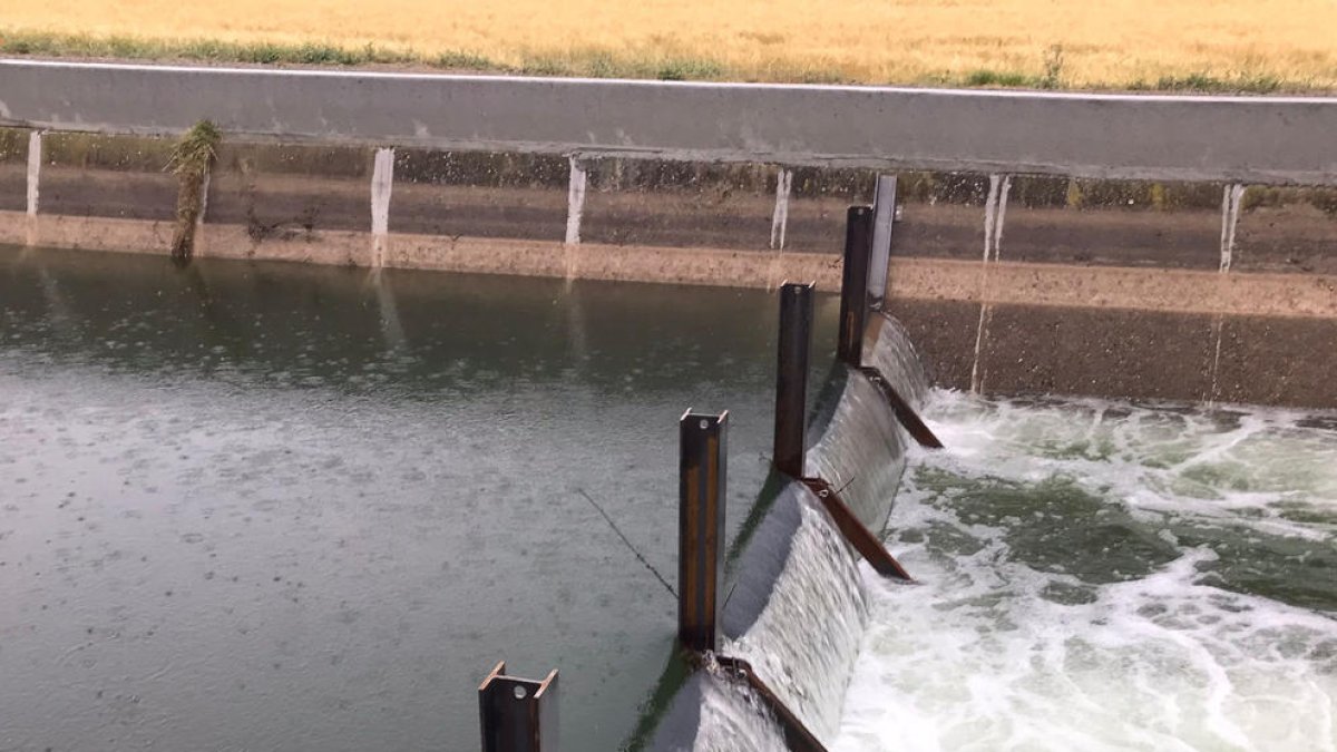 Cierres en el Canal Principal d’Urgell para asegurar el abastecimiento de agua de boca.