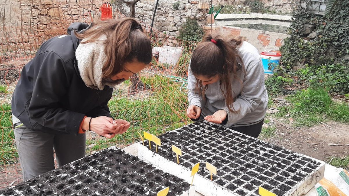 Membres d’Eixarcolant plantant llavors.