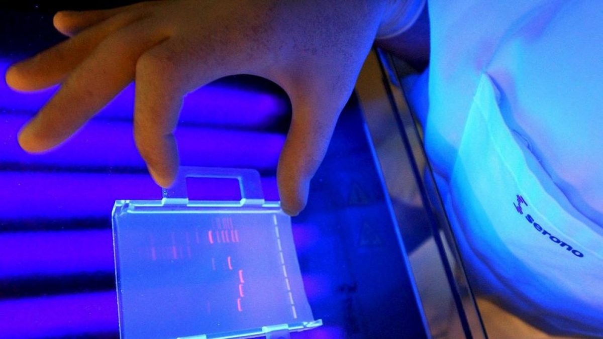 Dos décadas secuenciando el genoma humano y aún mucho por aprender de él